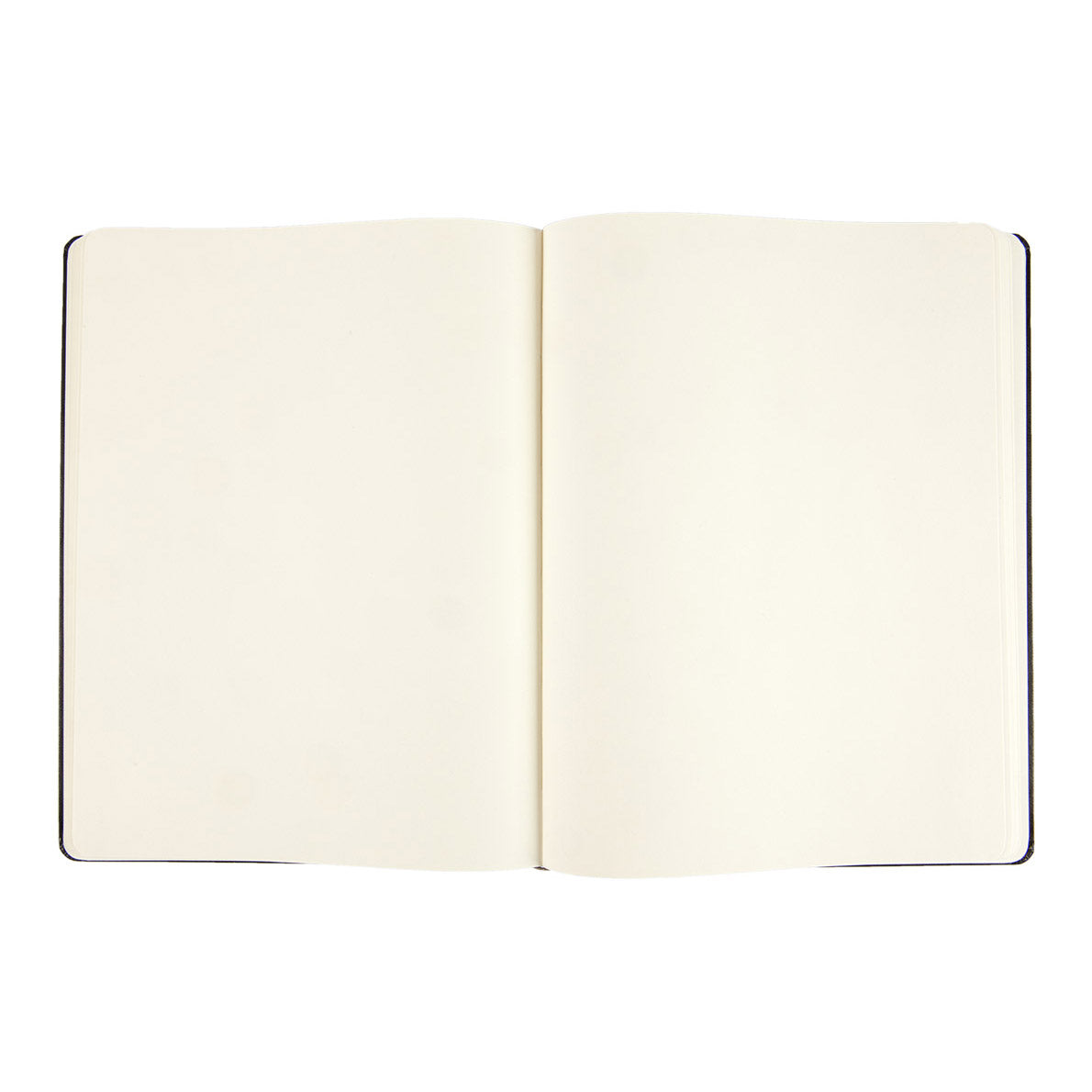 Moleskine Classic X-Large Notebook Hard Cover Plain