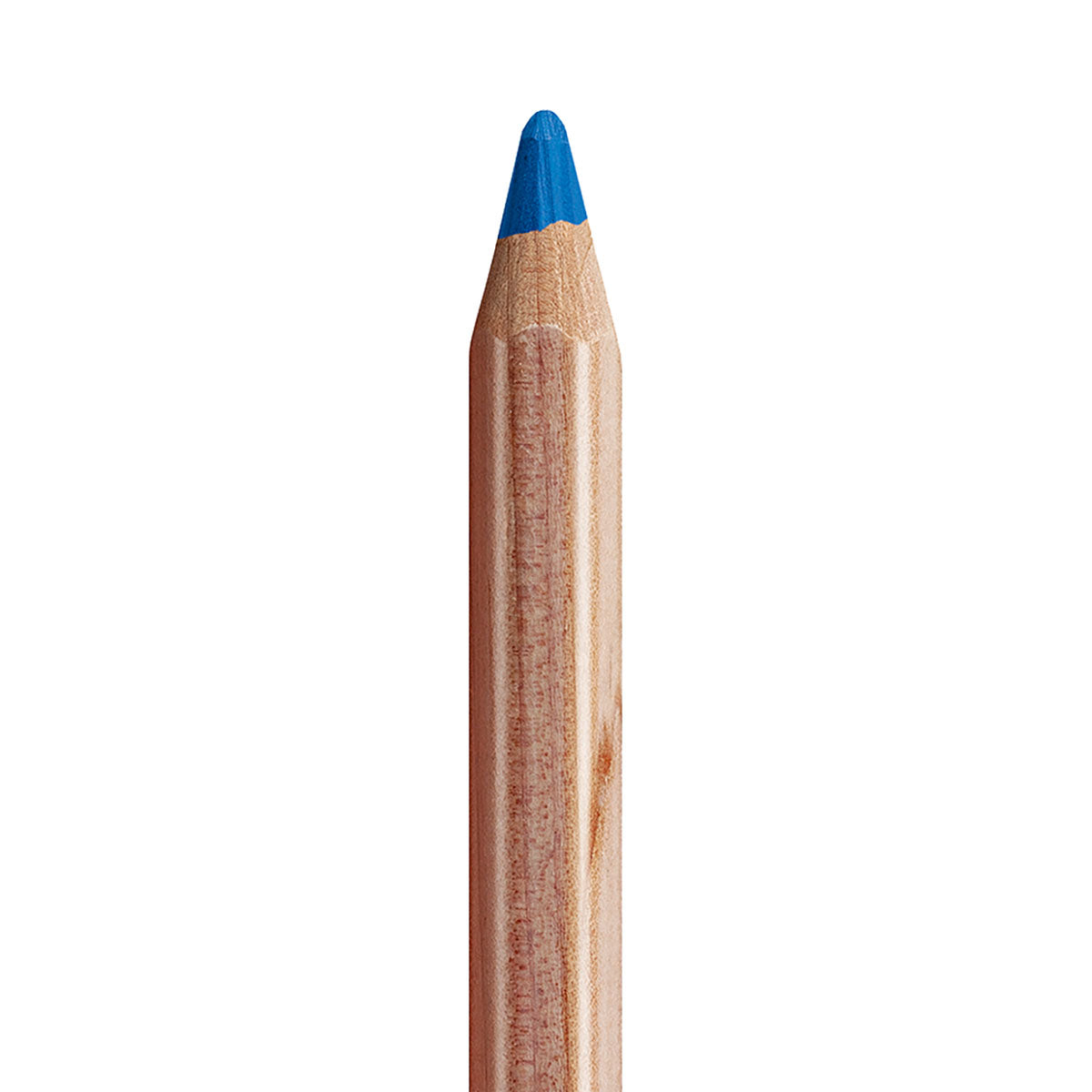 Caran d'Ache Pastel Coloured Pencils 12 Set