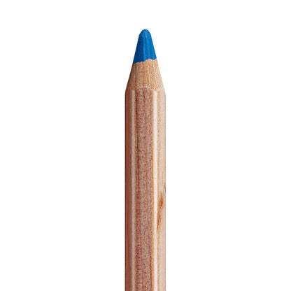 Caran d'Ache Pastel Coloured Pencils 40 Set