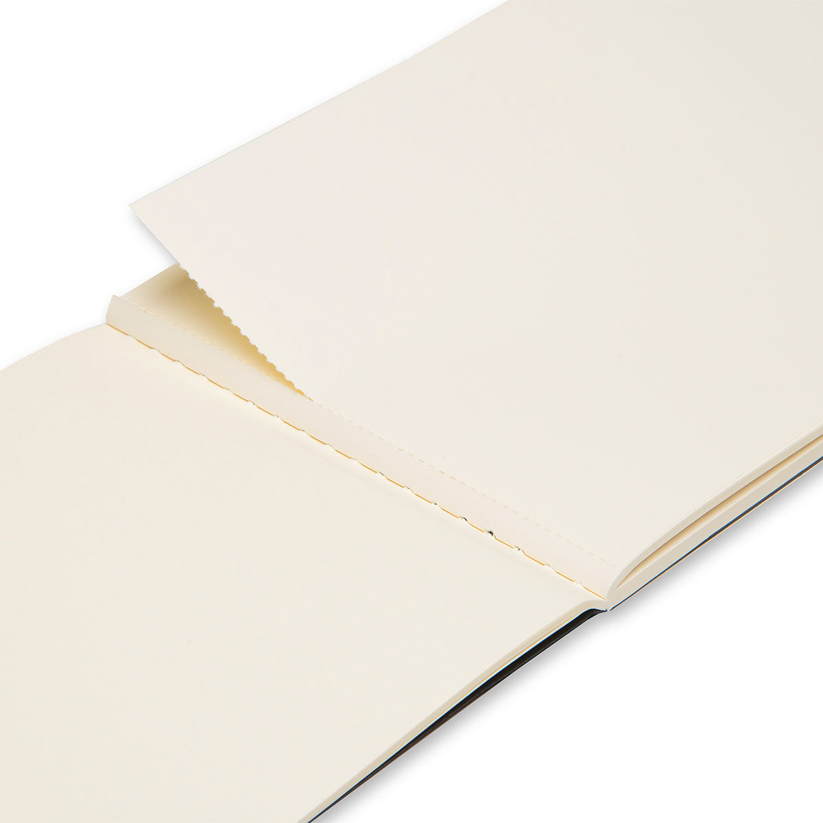 Moleskine Art Sketch Album 21 x 13 cm Soft Cover Plain