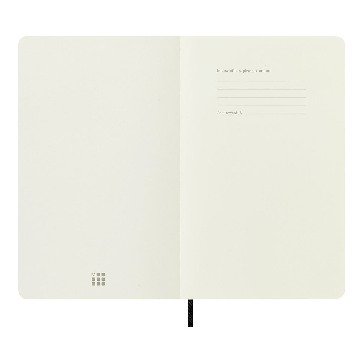 Moleskine Classic Large Notebook Soft Cover Dotted