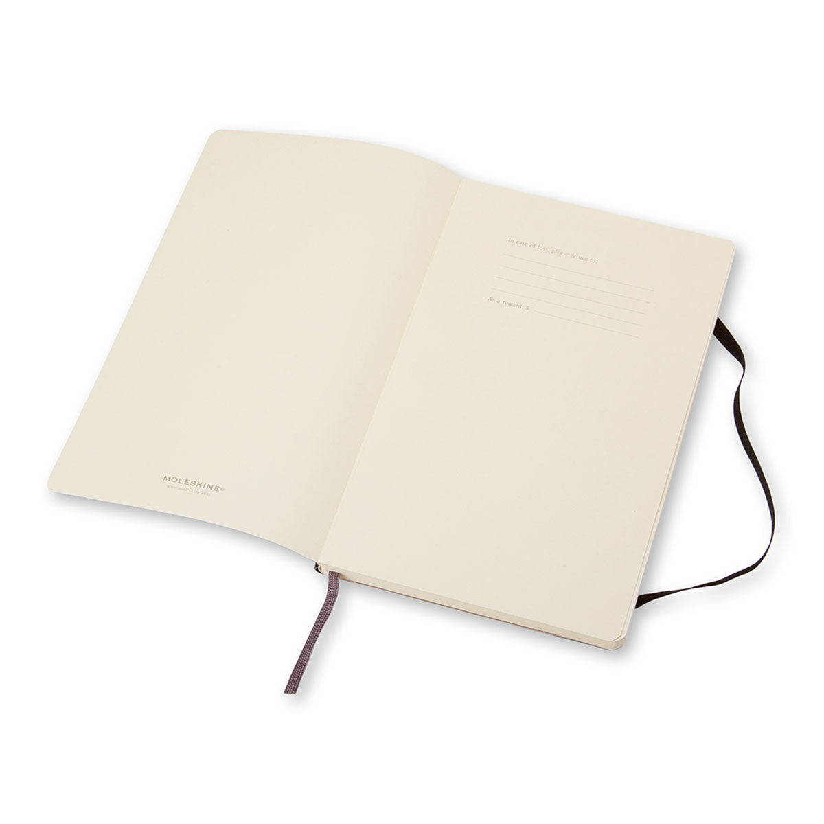 Moleskine Classic Large Notebook Soft Cover Plain